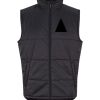 Blueline Pro Bodywarmer Thumbnail